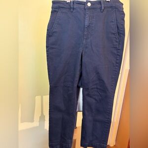 Everlane High Rise Ankle Jeans in Dark Blue